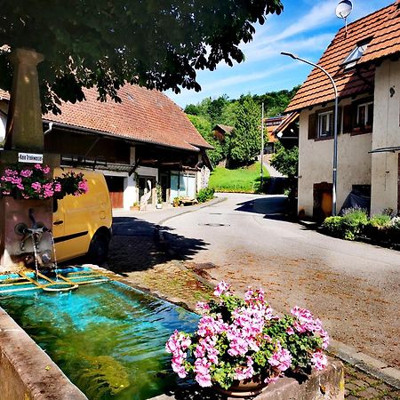 Alpenpanorama Haegelberg Apartment Steinen  Екстериор снимка