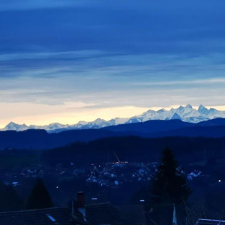 Alpenpanorama Haegelberg Apartment Steinen  Екстериор снимка